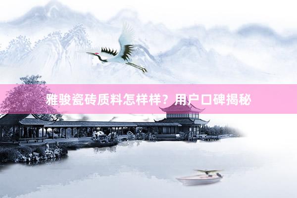 雅骏瓷砖质料怎样样？用户口碑揭秘