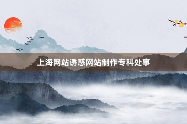 上海网站诱惑网站制作专科处事