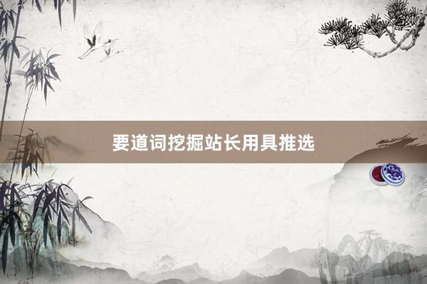 要道词挖掘站长用具推选